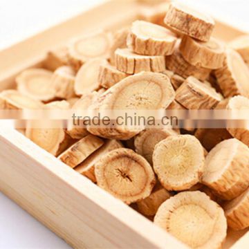 Wholesale American Panax Ginseng Root in Best Price