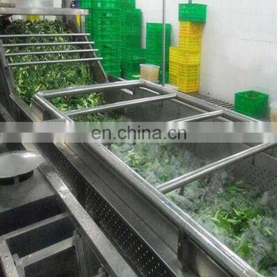 Made in China Vegetable Washing Machine for Industry photo-5