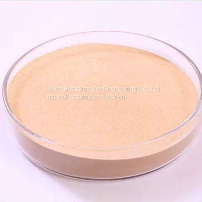 Feed Enzyme