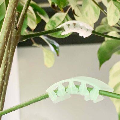 Plastic Plant Bender - Tomato Cucumber Peppers Plant Support Fruit Stalk Clip for Reinforcing Reusable photo-5