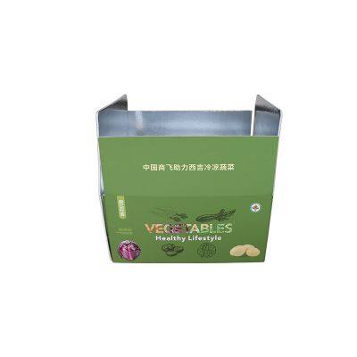 Insulated Carton with Foil Foam Cooler Boxes Delivery Moving Kits Foam Shipping Containers Food Cold Chain Shipping