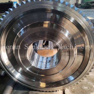 Plastic Injection Molded Nylon Gear PA66+30%GF for Food Processing Equipment