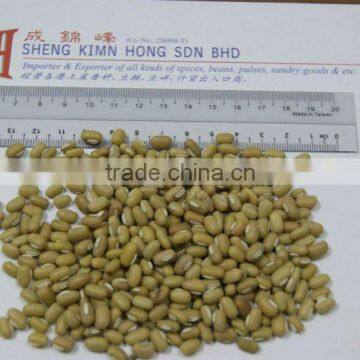 White Bamboo/Peyin Beans