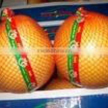 2015 New Crop of the Pomelo photo-2