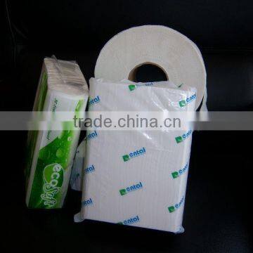 Manufacturer Huizhou,Guangdong N-fold Paper Towel photo-4
