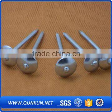 Umbrella Galvanized Twist Shank Roofing Nails photo-2