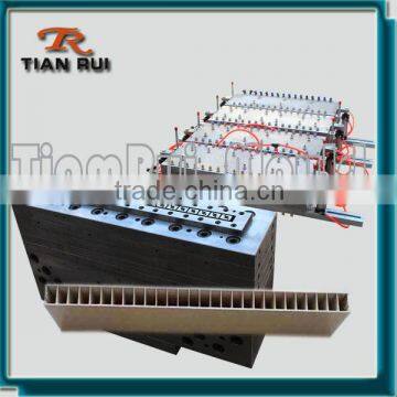 Door Panel Extrusion Mould photo-3