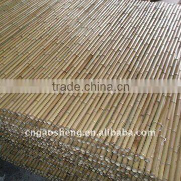 natural bamboo fence