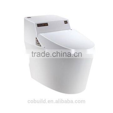 Sanitary ware one piece intelligent western toilet