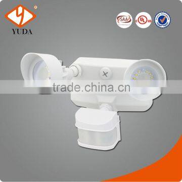 PIR security light