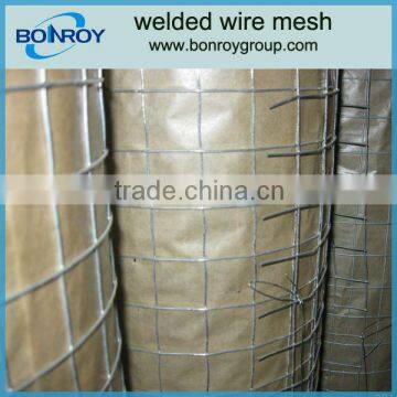 1x1/2 welded wire mesh