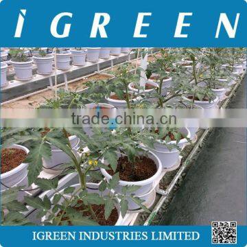 Dutch Pot Vegetable Growing System photo-3