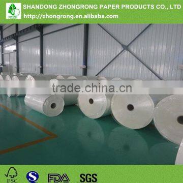 PE Coated C1S Ivory Board photo-4