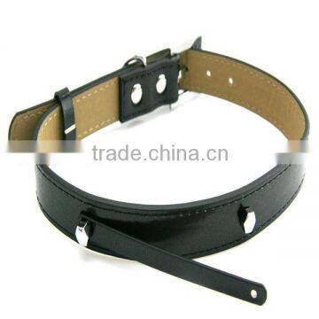 Latest design leather belts for pet wholesale-ZD4011