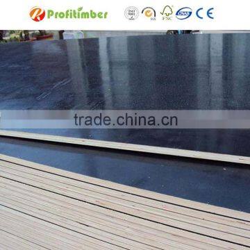 Building Construction Materials Concrete Shuttering Panel for Sale photo-3