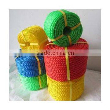 PP Danline Rope 220m for Marine photo-2