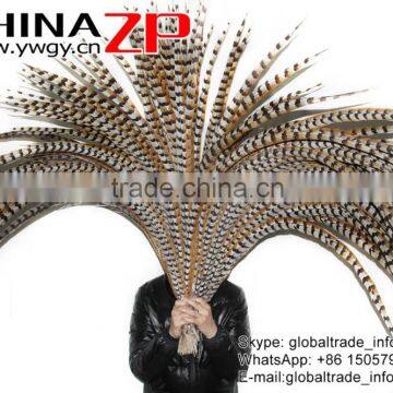 No.1 Supplier ZPDECOR Best Selling Cheap Large Natural 140-150cm Length Super Large Reeves Venery Pheasant Tail Feathers photo-4