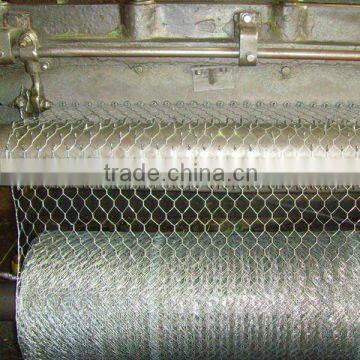 china anping Galvanized hexagonal wire mesh netting sale