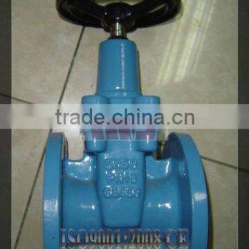 DN50~600 resilient seated gate valve