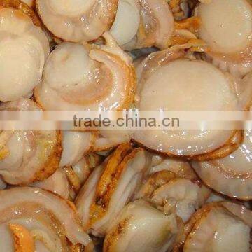 frozen fresh scallop meat with roe on