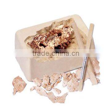 Mid Dinosaur Skull Dig Kit With Stand, 6 Assorted, 24pcs per Display. photo-3