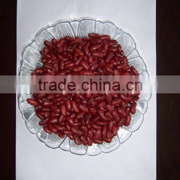 2014 Chinese red kidney bean with big size bulk packing