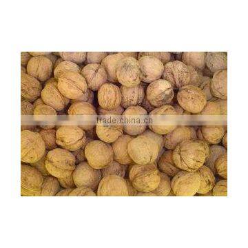 Fresh sweet walnut 2012 the lastest price