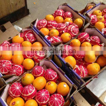 more pure fruits citrus lemons and navel/Valencia oranges