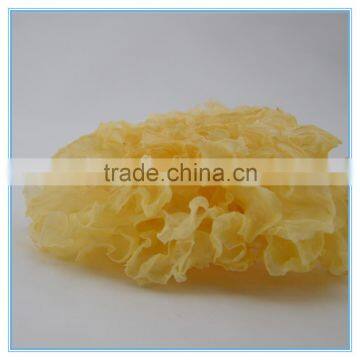 Dried White Jelly Fungus Manufacturer