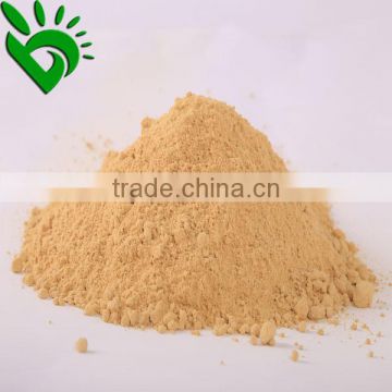 organic dried ginger powder