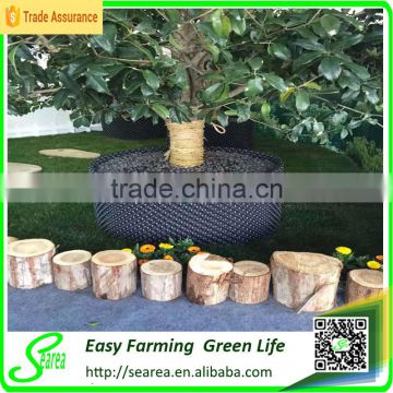 Plastic root control container