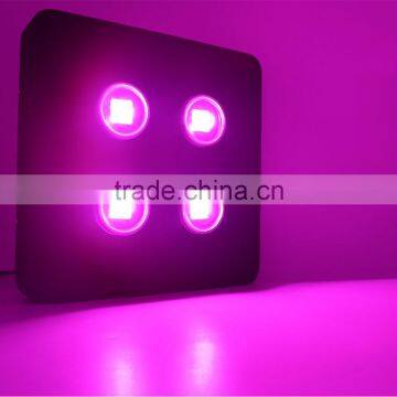 Led Grow Lighting 800W Equal to Others 1200W COB LED Spider Man Plant Grow Light photo-3