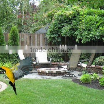 Bird Feeder Parts,wild Bird Feeders,bird Feeder photo-4