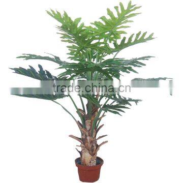 CHY030938 Hotel Decoration Everygreen Dried Plant Philodendron Plant Indoor photo-2