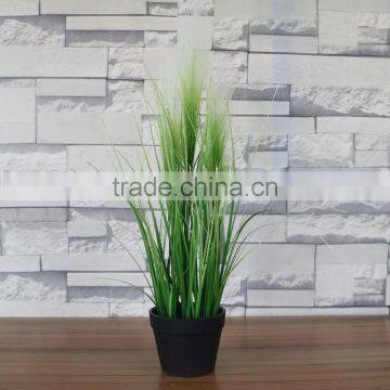 Decorative Plastic Reed photo-2