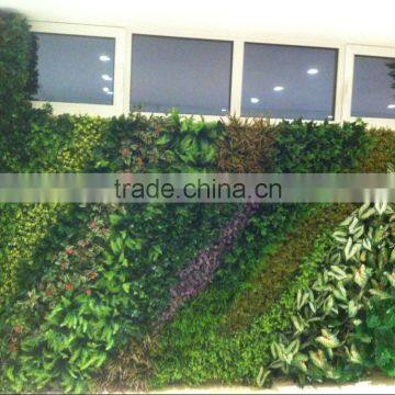 Artificial Green Wall for Gymnasium photo-4