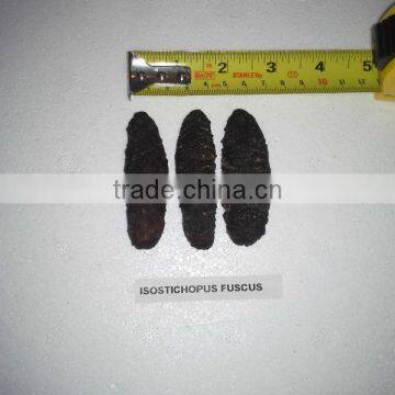 Isostichopus Fuscus photo-3