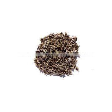 Moringa Olifera Seeds photo-2