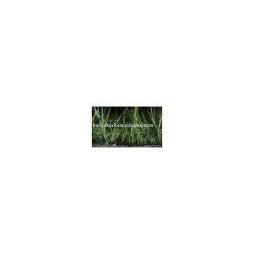 Artificial turf BN35217110(3tone)