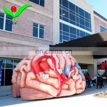 large tunnel tent doctor inflatable heart organ