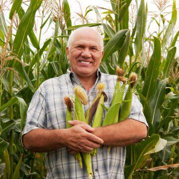 Mepiquat Chloride 25%AS/SL photo-5