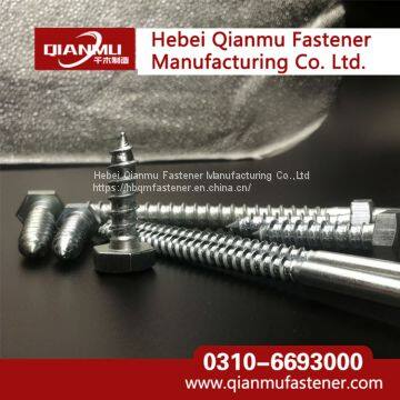 HEX HEAD LAG Wood Screw of Standard DIN571 Galvanized Wood Screw photo-2