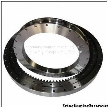 Swing Bearing Excavator