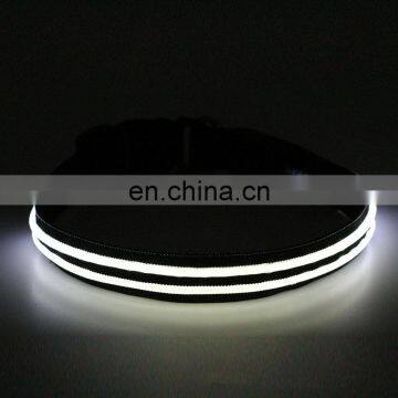 High Visibility Glowing Light up Led Dog Collar for Cute Cat photo-4