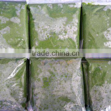 Cassava Leaves Grinding / Frozen Cassava Leaf From Vietnam photo-3