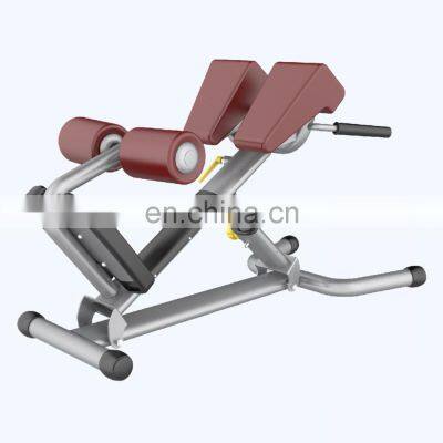 China Factory Free Weights Commercial  Gym Equipment Body Building Back Extension AN73 Roman Chair