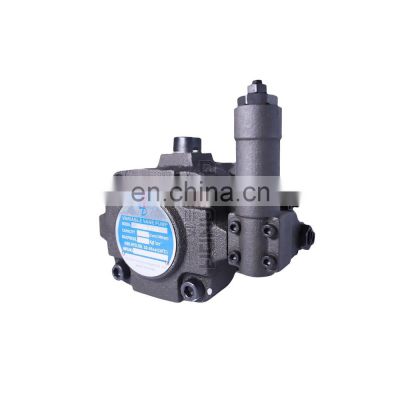 Taiwan Dongtai High Pressure Variable Vane Pump HVP40-F-A3 Electric Drive Hydraulic Oil Pump