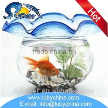 Professional fish tanks for table decoration