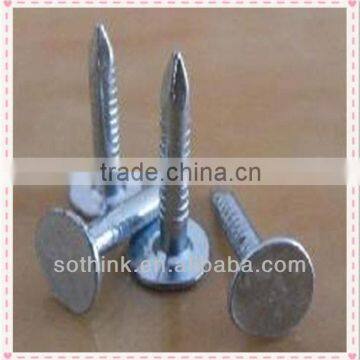 clout nail/roofing nail/big flat head nail