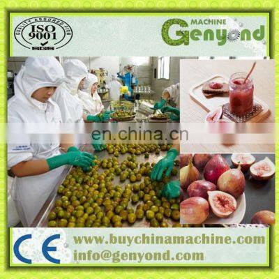 HIGH EFFICIENCY FIG PASTE PROCESSING MACHINE / FIG JAM MAKING MACHINE photo-3